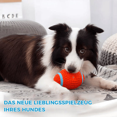 Bissfester Ball für Hunde