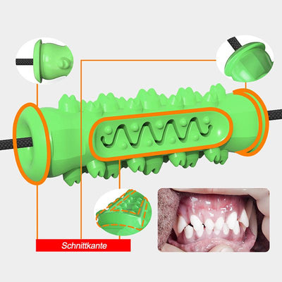 Interessante Beißstock Hundespielzeuge