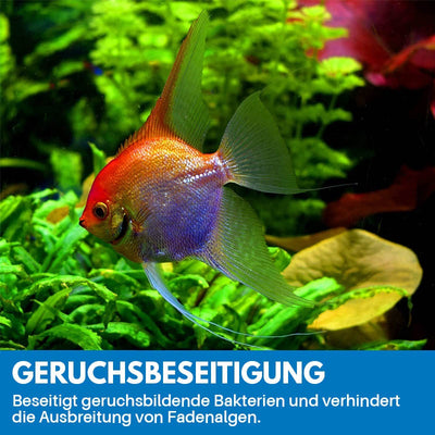 Reinigungspulver Für Aquarium